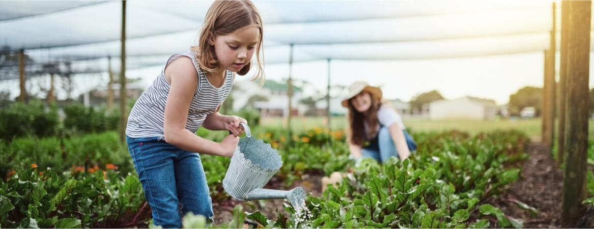  Socially Responsible investment option Inarticle